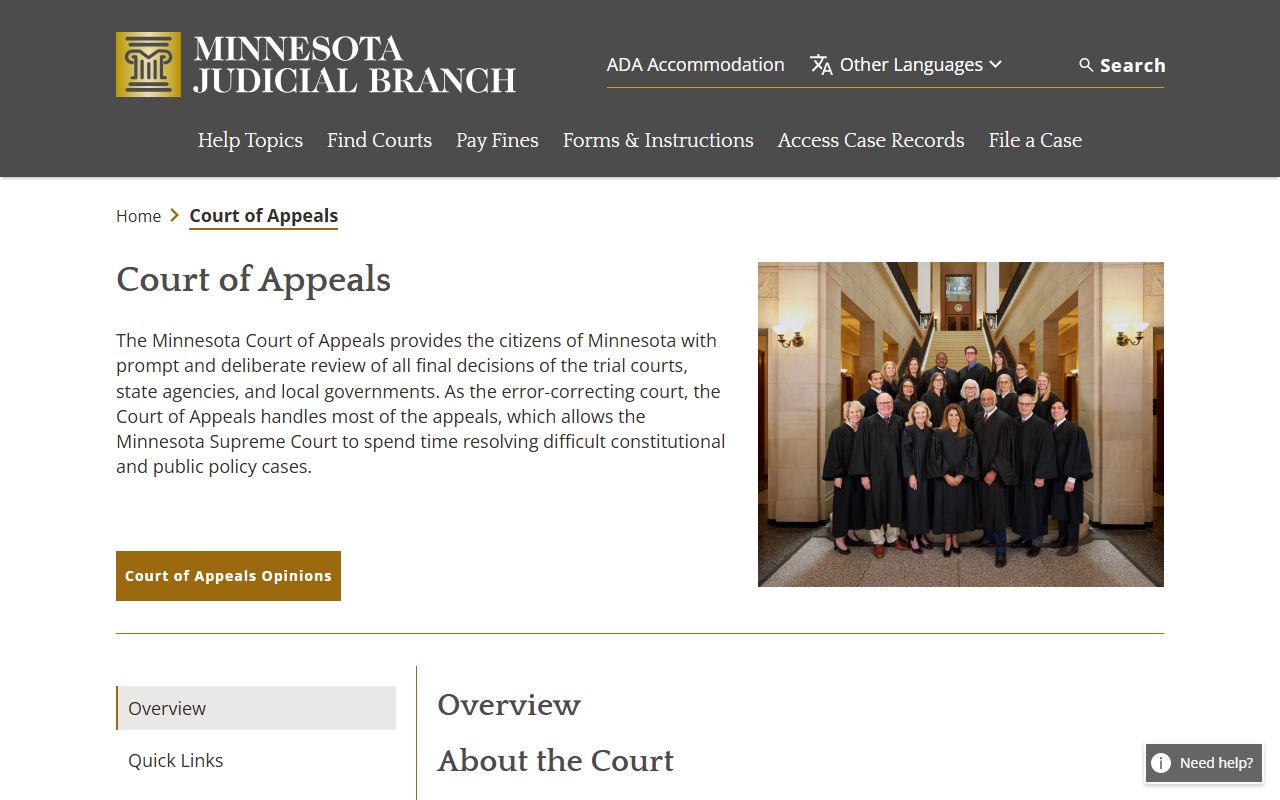 Minnesota access-case-records landing page