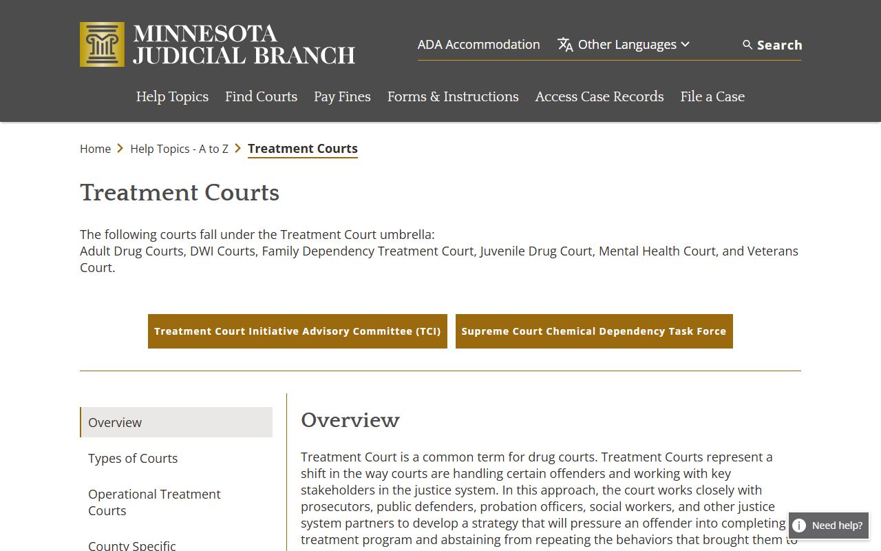 Minnesota treatment courts overview